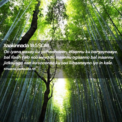 Picture 02 - Xaakinnada 18:5 SOM - Oo iyana waxay ku yidhaahdeen, Waannu ku - Bible Verse Picture