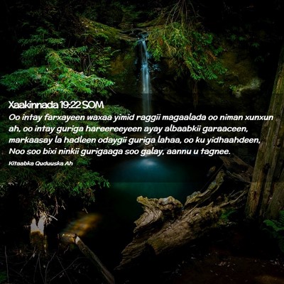 Picture 02 - Xaakinnada 19:22 SOM - Oo intay farxayeen waxaa yimid raggii magaalada - Bible Verse Picture
