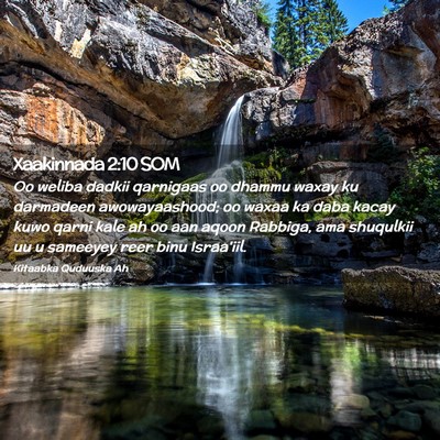 Picture 02 - Xaakinnada 2:10 SOM - Oo weliba dadkii qarnigaas oo dhammu waxay ku - Bible Verse Picture