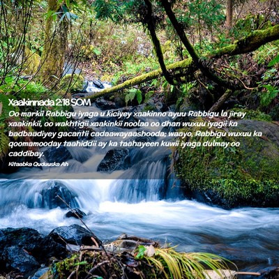 Picture 02 - Xaakinnada 2:18 SOM - Oo markii Rabbigu iyaga u kiciyey xaakinno ayuu - Bible Verse Picture