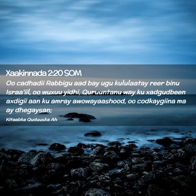 Picture 02 - Xaakinnada 2:20 SOM - Oo cadhadii Rabbigu aad bay ugu kululaatay reer - Bible Verse Picture