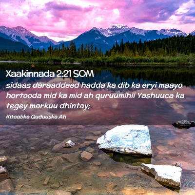 Picture 02 - Xaakinnada 2:21 SOM - sidaas daraaddeed hadda ka dib ka eryi maayo - Bible Verse Picture