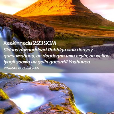 Picture 02 - Xaakinnada 2:23 SOM - Sidaas daraaddeed Rabbigu wuu daayay quruumahaas, - Bible Verse Picture