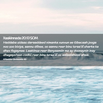 Picture 02 - Xaakinnada 20:13 SOM - Haddaba sidaas daraaddeed nimanka xunxun ee - Bible Verse Picture
