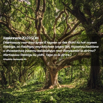 Picture 02 - Xaakinnada 20:23 SOM - (Markaasay reer binu Israa'iil tageen oo ilaa - Bible Verse Picture
