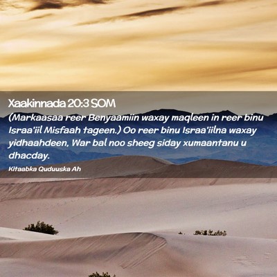 Picture 02 - Xaakinnada 20:3 SOM - (Markaasaa reer Benyaamiin waxay maqleen in reer - Bible Verse Picture
