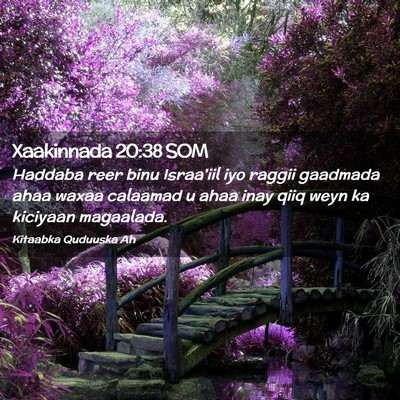 Picture 02 - Xaakinnada 20:38 SOM - Haddaba reer binu Israa'iil iyo raggii gaadmada - Bible Verse Picture