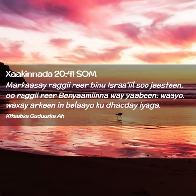 Picture 02 - Xaakinnada 20:41 SOM - Markaasay raggii reer binu Israa'iil soo - Bible Verse Picture