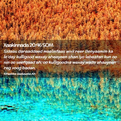 Picture 02 - Xaakinnada 20:46 SOM - Sidaas daraaddeed maalintaas wixii reer - Bible Verse Picture
