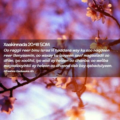 Picture 02 - Xaakinnada 20:48 SOM - Oo raggii reer binu Israa'iil haddana way ku soo - Bible Verse Picture