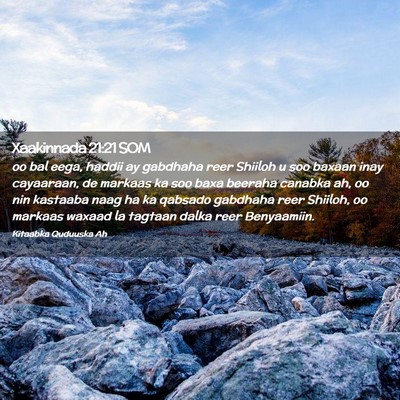 Picture 02 - Xaakinnada 21:21 SOM - oo bal eega, haddii ay gabdhaha reer Shiiloh u - Bible Verse Picture