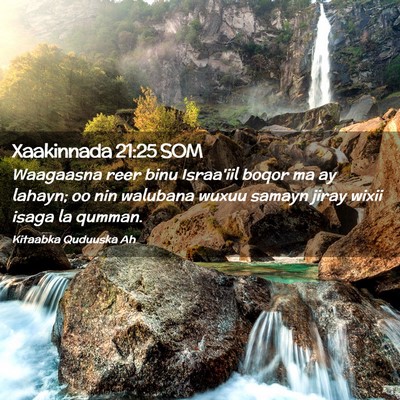 Picture 02 - Xaakinnada 21:25 SOM - Waagaasna reer binu Israa'iil boqor ma ay lahayn; - Bible Verse Picture