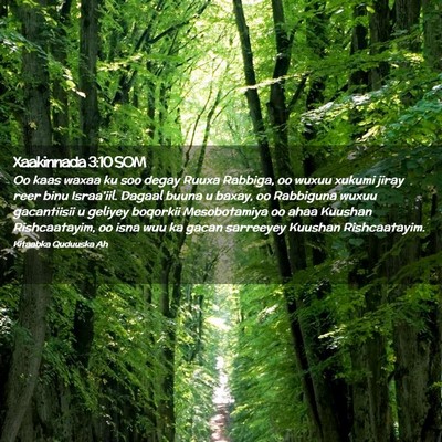 Picture 02 - Xaakinnada 3:10 SOM - Oo kaas waxaa ku soo degay Ruuxa Rabbiga, oo - Bible Verse Picture
