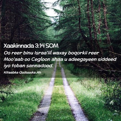 Picture 02 - Xaakinnada 3:14 SOM - Oo reer binu Israa'iil waxay boqorkii reer - Bible Verse Picture