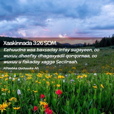 Picture 02 - Xaakinnada 3:26 SOM - Eehuudna waa baxsaday intay sugayeen, oo wuxuu - Bible Verse Picture
