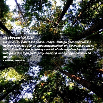 Picture 02 - Xaakinnada 3:28 SOM - Oo wuxuu ku yidhi, I soo raaca, waayo, Rabbigu - Bible Verse Picture