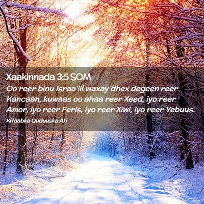 Picture 02 - Xaakinnada 3:5 SOM - Oo reer binu Israa'iil waxay dhex degeen reer - Bible Verse Picture