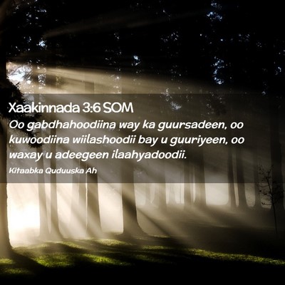Picture 02 - Xaakinnada 3:6 SOM - Oo gabdhahoodiina way ka guursadeen, oo - Bible Verse Picture
