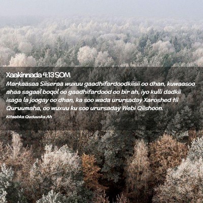 Picture 02 - Xaakinnada 4:13 SOM - Markaasaa Siiseraa wuxuu gaadhifardoodkiisii oo - Bible Verse Picture