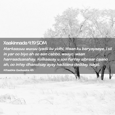 Picture 02 - Xaakinnada 4:19 SOM - Markaasuu wuxuu iyadii ku yidhi, Waan ku - Bible Verse Picture