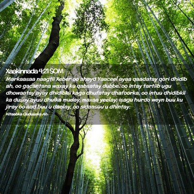 Picture 02 - Xaakinnada 4:21 SOM - Markaasaa naagtii Xeber oo ahayd Yaaceel ayaa - Bible Verse Picture