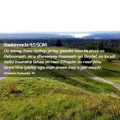 Picture 02 - Xaakinnada 4:5 SOM - Oo waxay hoos fadhiyi jirtay geedkii timirta ahaa - Bible Verse Picture