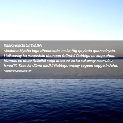 Picture 02 - Xaakinnada 5:11 SOM - Meelaha biyaha laga dhaansado, oo ka fog qaylada - Bible Verse Picture