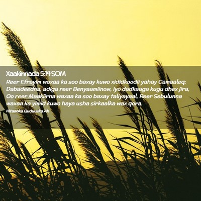 Picture 02 - Xaakinnada 5:14 SOM - Reer Efrayim waxaa ka soo baxay kuwo xididkoodii - Bible Verse Picture