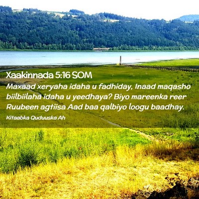 Picture 02 - Xaakinnada 5:16 SOM - Maxaad xeryaha idaha u fadhiday, Inaad maqasho - Bible Verse Picture