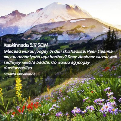 Picture 02 - Xaakinnada 5:17 SOM - Gilecaad wuxuu joogay Urdun shishadiisa; Reer - Bible Verse Picture