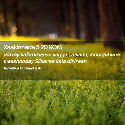 Picture 02 - Xaakinnada 5:20 SOM - Waxay kala dirireen xagga samada, Xiddiguhuna - Bible Verse Picture