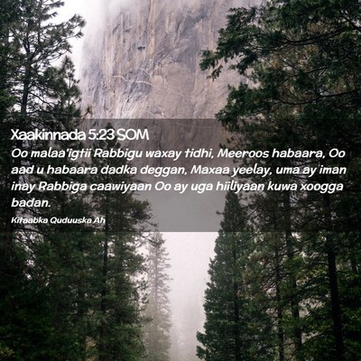 Picture 02 - Xaakinnada 5:23 SOM - Oo malaa'igtii Rabbigu waxay tidhi, Meeroos - Bible Verse Picture