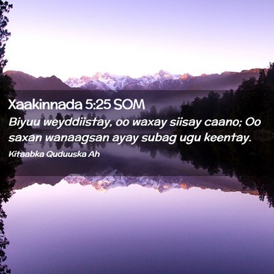 Picture 02 - Xaakinnada 5:25 SOM - Biyuu weyddiistay, oo waxay siisay caano; Oo - Bible Verse Picture
