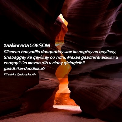 Picture 02 - Xaakinnada 5:28 SOM - Siiseraa hooyadiis daaqadday wax ka eegtay oo - Bible Verse Picture