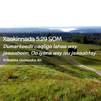Picture 02 - Xaakinnada 5:29 SOM - Dumarkeedii caqliga lahaa way jawaabeen, Oo iyana - Bible Verse Picture
