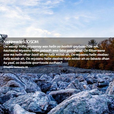 Picture 02 - Xaakinnada 5:30 SOM - Oo waxay tidhi, Miyaanay wax helin oo boolidii - Bible Verse Picture