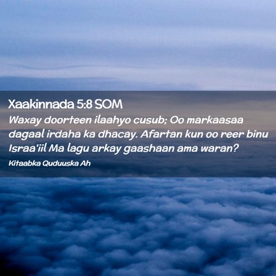 Picture 02 - Xaakinnada 5:8 SOM - Waxay doorteen ilaahyo cusub; Oo markaasaa dagaal - Bible Verse Picture