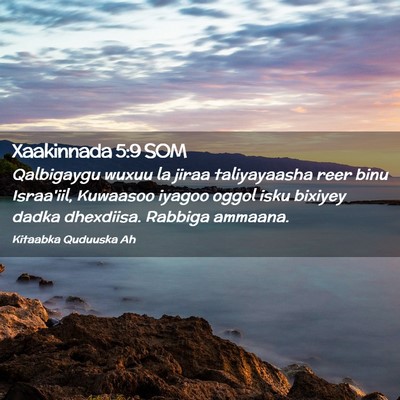 Picture 02 - Xaakinnada 5:9 SOM - Qalbigaygu wuxuu la jiraa taliyayaasha reer binu - Bible Verse Picture
