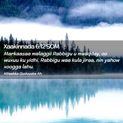 Picture 02 - Xaakinnada 6:12 SOM - Markaasaa malaggii Rabbigu u muuqday, oo wuxuu ku - Bible Verse Picture