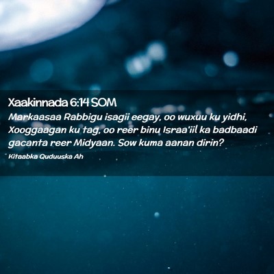 Picture 02 - Xaakinnada 6:14 SOM - Markaasaa Rabbigu isagii eegay, oo wuxuu ku - Bible Verse Picture