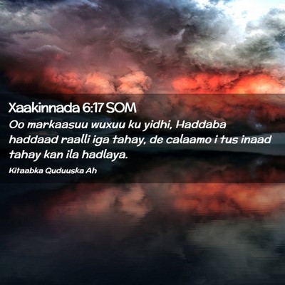 Picture 02 - Xaakinnada 6:17 SOM - Oo markaasuu wuxuu ku yidhi, Haddaba haddaad - Bible Verse Picture