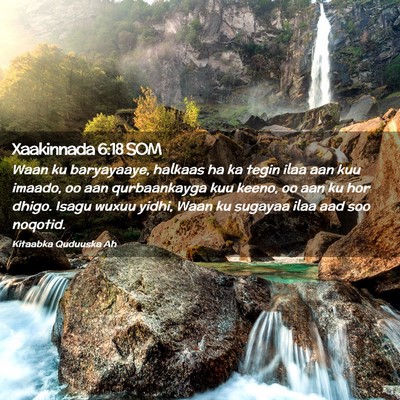 Picture 02 - Xaakinnada 6:18 SOM - Waan ku baryayaaye, halkaas ha ka tegin ilaa aan - Bible Verse Picture