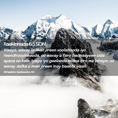 Picture 02 - Xaakinnada 6:5 SOM - Waayo, waxay la iman jireen xoolahooda iyo - Bible Verse Picture