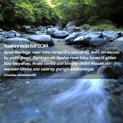 Picture 02 - Xaakinnada 6:8 SOM - ayaa Rabbigu reer binu Israa'iil u soo diray - Bible Verse Picture