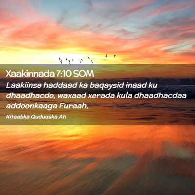Picture 02 - Xaakinnada 7:10 SOM - Laakiinse haddaad ka baqaysid inaad ku - Bible Verse Picture