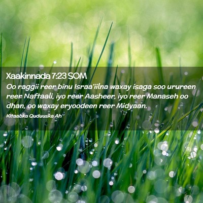 Picture 02 - Xaakinnada 7:23 SOM - Oo raggii reer binu Israa'iilna waxay isaga soo - Bible Verse Picture