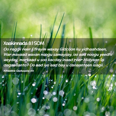 Picture 02 - Xaakinnada 8:1 SOM - Oo raggii reer Efrayim waxay Gidcoon ku - Bible Verse Picture