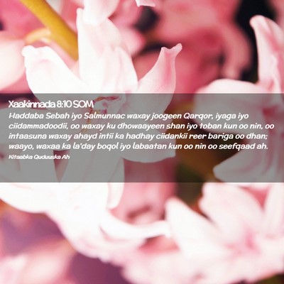 Picture 02 - Xaakinnada 8:10 SOM - Haddaba Sebah iyo Salmunnac waxay joogeen Qarqor, - Bible Verse Picture