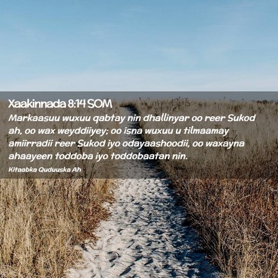 Picture 02 - Xaakinnada 8:14 SOM - Markaasuu wuxuu qabtay nin dhallinyar oo reer - Bible Verse Picture