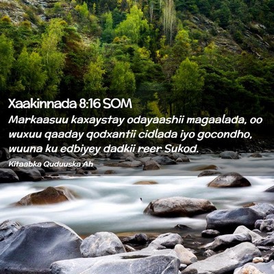 Picture 02 - Xaakinnada 8:16 SOM - Markaasuu kaxaystay odayaashii magaalada, oo - Bible Verse Picture
